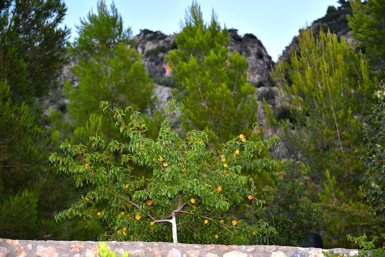 Bay View Guesthouses Kalamáta Kültér fotó